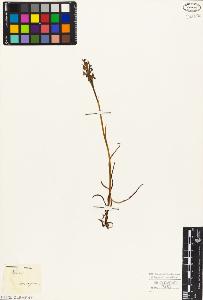 SW_BNB_s3010-05086_IMG-0000000001