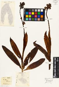 SW_BNB_s3010-05087_IMG-0000000001
