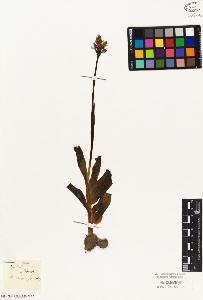 SW_BNB_s3010-05089_IMG-0000000001