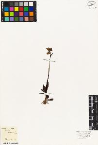 SW_BNB_s3010-05091_IMG-0000000001