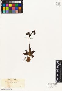 SW_BNB_s3010-05092_IMG-0000000001