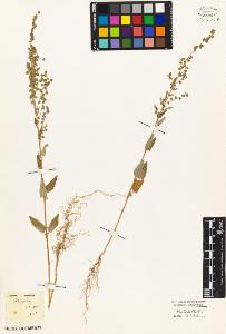 SW_BNB_s3010-05100_IMG-0000000001