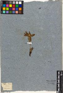 SW_BNB_s3010-05103_IMG-0000000001