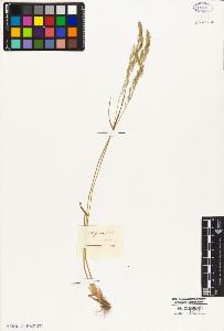 SW_BNB_s3010-05105_IMG-0000000001