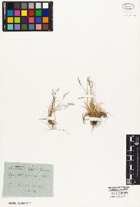 SW_BNB_s3010-05107_IMG-0000000001