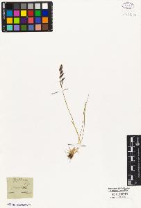 SW_BNB_s3010-05108_IMG-0000000001