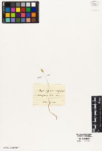 SW_BNB_s3010-05109_IMG-0000000001
