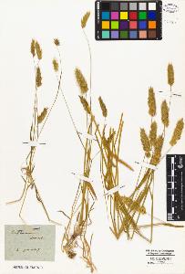 SW_BNB_s3010-05110_IMG-0000000001