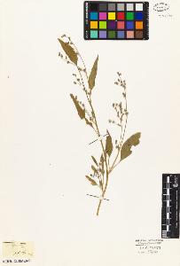 SW_BNB_s3010-05113_IMG-0000000001