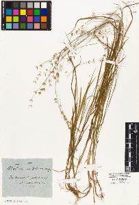 SW_BNB_s3010-05119_IMG-0000000001