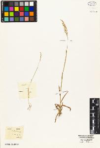 SW_BNB_s3010-05123_IMG-0000000001