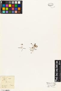 SW_BNB_s3010-05124_IMG-0000000001