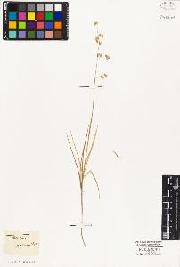 SW_BNB_s3010-05125_IMG-0000000001