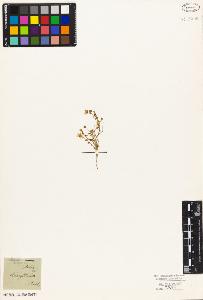 SW_BNB_s3010-05127_IMG-0000000001