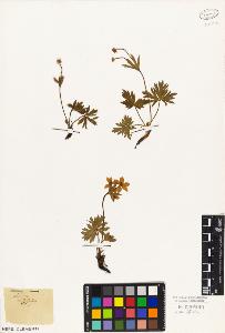 SW_BNB_s3010-05128_IMG-0000000001