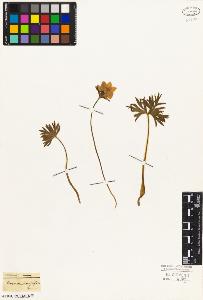 SW_BNB_s3010-05129_IMG-0000000001
