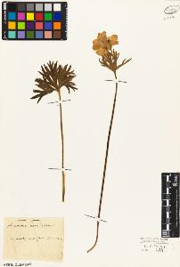 SW_BNB_s3010-05130_IMG-0000000001