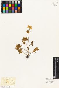 SW_BNB_s3010-05131_IMG-0000000001