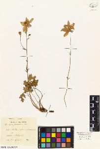 SW_BNB_s3010-05135_IMG-0000000001