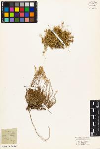 SW_BNB_s3010-05137_IMG-0000000001