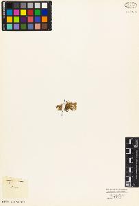 SW_BNB_s3010-05139_IMG-0000000001