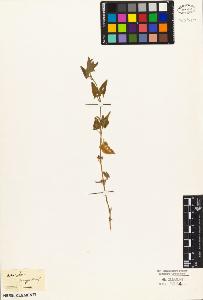 SW_BNB_s3010-05140_IMG-0000000001