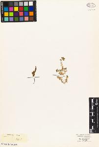 SW_BNB_s3010-05143_IMG-0000000001
