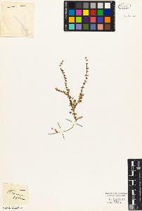 SW_BNB_s3010-05144_IMG-0000000001