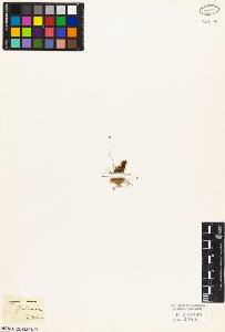 SW_BNB_s3010-05146_IMG-0000000001