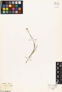 SW_BNB_s3010-05148_IMG-0000000001