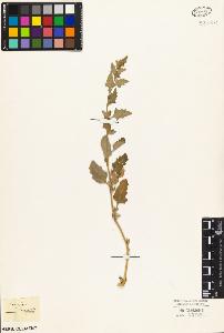 SW_BNB_s3010-05151_IMG-0000000001