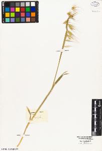 SW_BNB_s3010-05154_IMG-0000000001