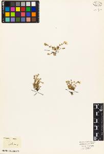 SW_BNB_s3010-05155_IMG-0000000001