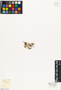 SW_BNB_s3010-05156_IMG-0000000001