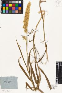 SW_BNB_s3010-05157_IMG-0000000001