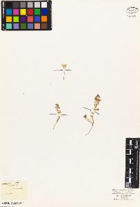 SW_BNB_s3010-05166_IMG-0000000001