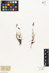 SW_BNB_s3010-05172_IMG-0000000001