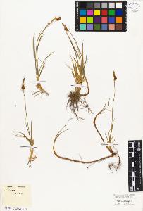 SW_BNB_s3010-05176_IMG-0000000001