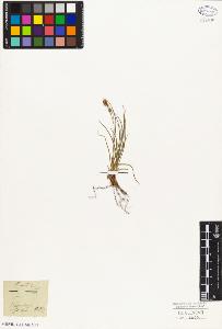 SW_BNB_s3010-05178_IMG-0000000001