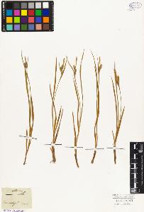 SW_BNB_s3010-05182_IMG-0000000001