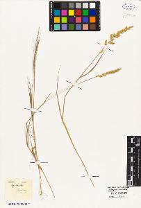 SW_BNB_s3010-05187_IMG-0000000001