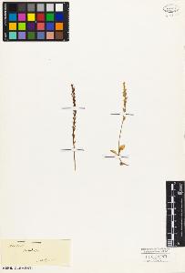 SW_BNB_s3010-05188_IMG-0000000001