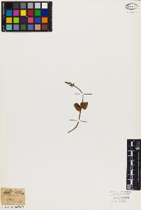 SW_BNB_s3010-05189_IMG-0000000001