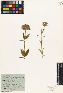 SW_BNB_s3010-05190_IMG-0000000001