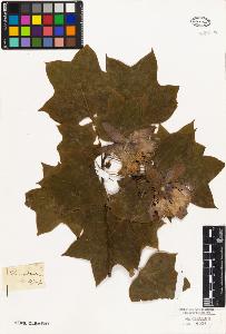 SW_BNB_s3010-05193_IMG-0000000001