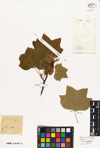 SW_BNB_s3010-05194_IMG-0000000001
