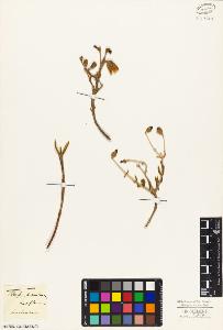 SW_BNB_s3010-05197_IMG-0000000001