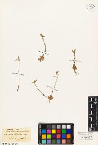 SW_BNB_s3010-05198_IMG-0000000001