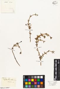 SW_BNB_s3010-05199_IMG-0000000001