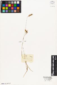 SW_BNB_s3010-05200_IMG-0000000001